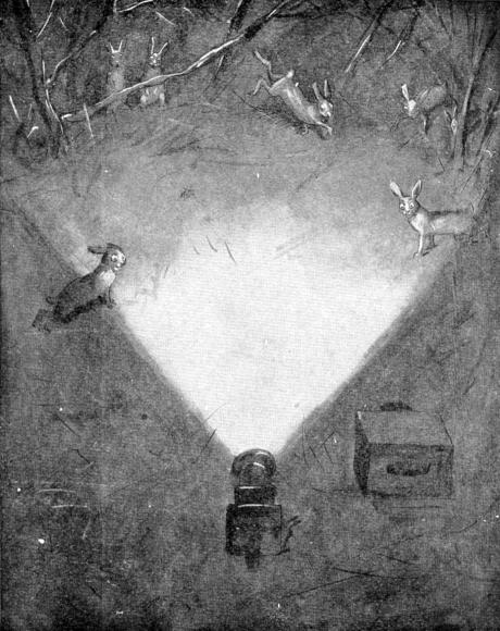 XXX. Snowshoe Rabbits dancing in the light of the lantern

Sketch by E. T. Seton