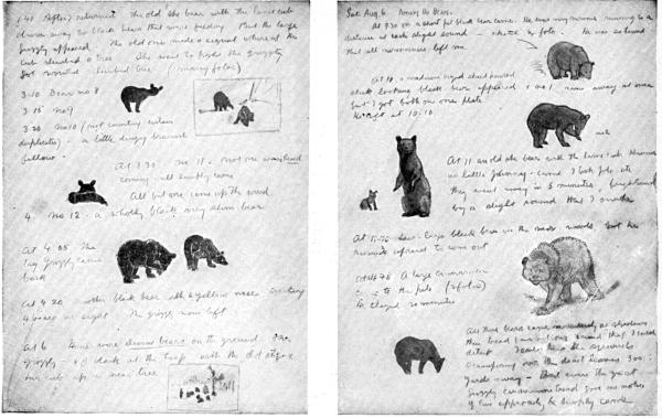 XXXIX. Two pages from my journal in the garbage heap

By E. T. Seton