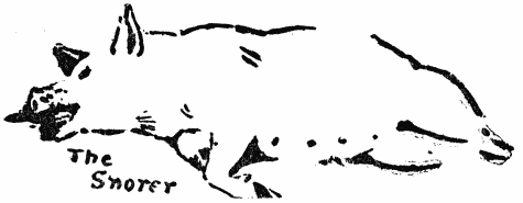 The Snorer