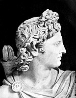 HEAD OF THE
APOLLO BELVEDERE -- Vatican Gallery, Rome -- D. Anderson, Photo. John
Andrew & Son, Sc.