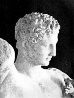 HEAD OF THE
OLYMPIAN HERMES -- Museum, Olympia -- English Photographic Co., Athens,
Photo. John Andrew & Son, Sc.