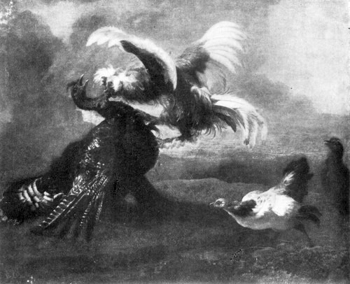 A. CUIJP
Fight between a Turkey and a Cock