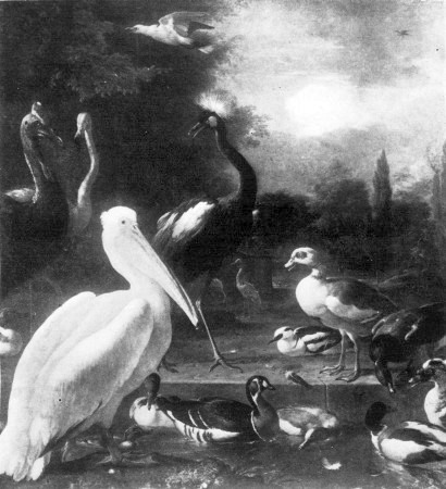 M. D'HONDECOETER
The Floating Feather