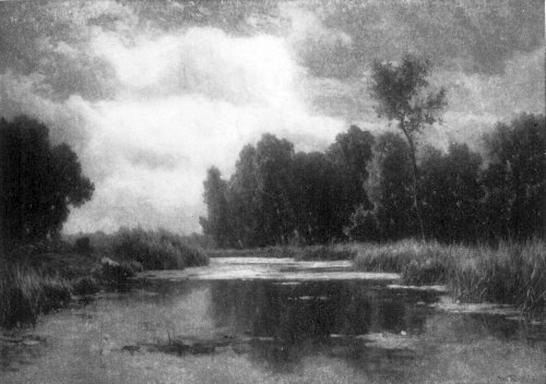 ROELOFS
 Marshy Landscape