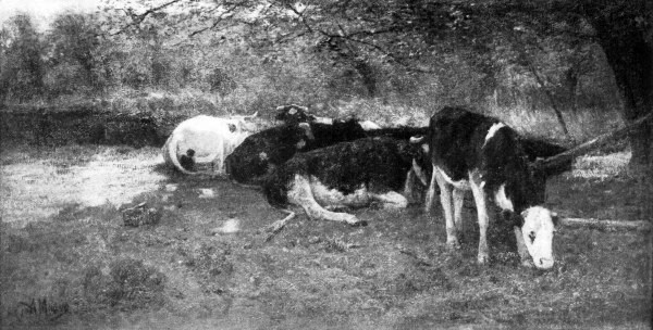 MAUVE
Cows in a Shady Nook