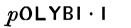 pOLYBIÂ·I