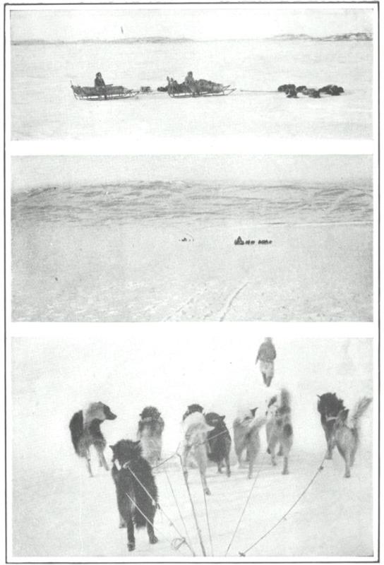 BRADLEY LAND DISCOVERED

SUBMERGED ISLAND OF POLAR SEA

GOING BEYOND THE BOUNDS OF LIFE