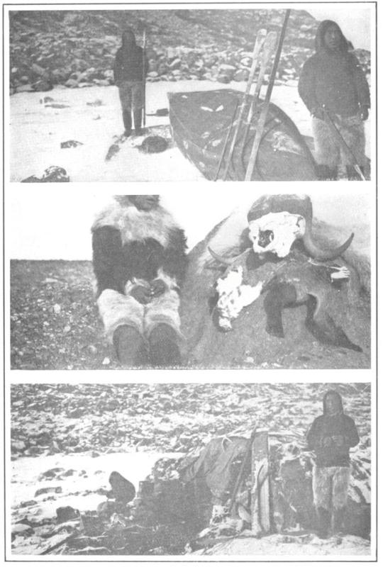 PUNCTURED CANVAS BOAT IN WHIH WE PADDLED 1,000 MILES
FAMINE DAYS WHEN ONLY STRAY BIRDS PREVENTED STARVATION
DEN IN WHICH WERE SPENT 100 DOUBLE NIGHTS