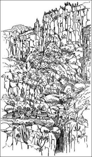 From Orange Plantation to Cumbra, or Crest of Mountain,
Six Thousand Feet. Looking backward.