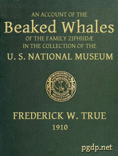 An Account of the Beaked Whales of the Family Ziphiidæ in the Collection of the United States National Museum