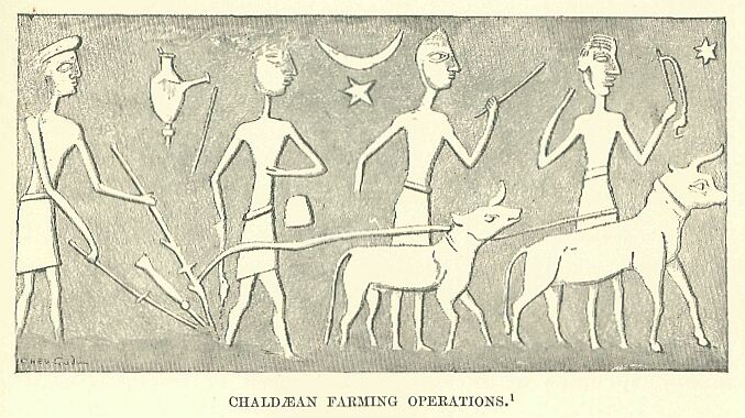 325.jpg ChaldÆan Farming Operations. 