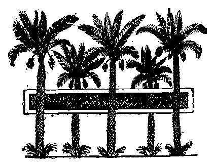 Fig 174.--Pond and palm-trees, from wall painting in
tomb of Rekhmara, Eighteenth Dynasty.