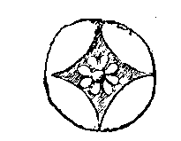 Fig 238.--Tile inlay, Tell el Yahûdeh. 