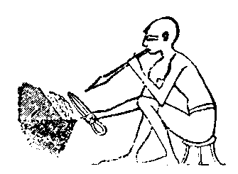 Fig 283.--Gold worker. 