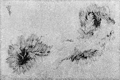 Fig. 72.—Sun spot of March 5, 1873.—From Langley, The New Astronomy.
By permission of the publishers.