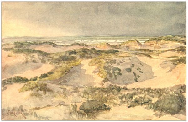 THE DUNES—
A Stormy Evening.