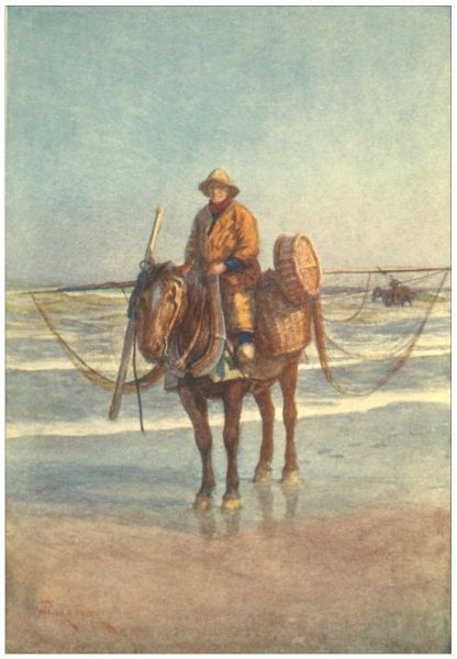 COXYDE—
A Shrimper on Horseback.