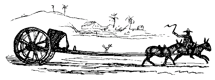 Manner and Custom of Harnessing ye Animiles to ye Cuban
Volante.