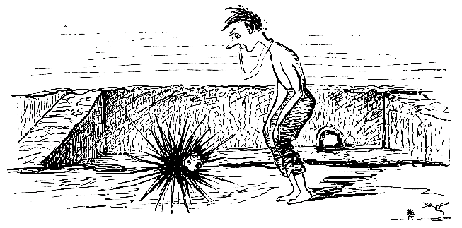 Our Artist having prepared himself for a jolly plunge,
inadvertently observes an insect peculiar to the water, and rather
thinks he won't go in just now.