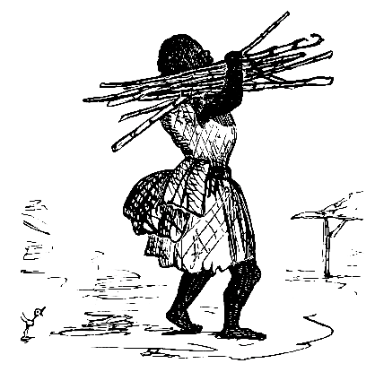 A Colored Beauty toting Sugar Cane from the field to the
grinding mill.