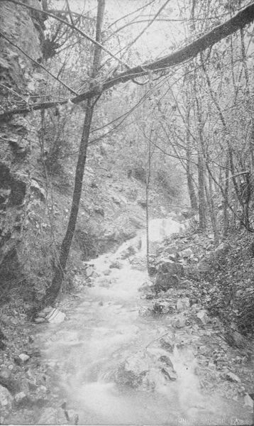 In Glen Canyon, near Echo Mountain, Mount Lowe.