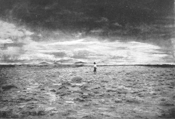 In the Heart of the Painted Desert.