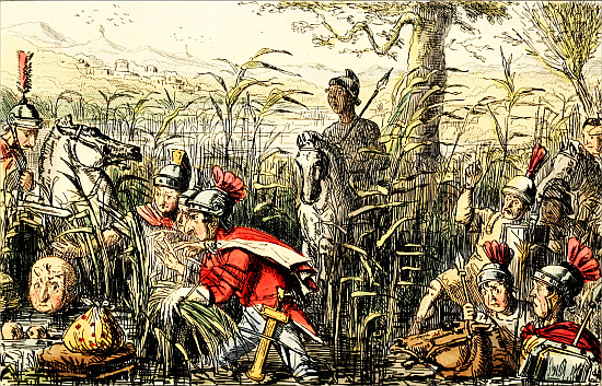 Marius discovered in the Marshes at MinturnÃ¦.