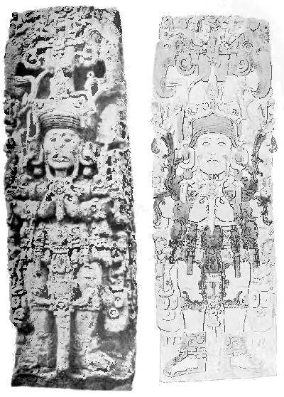 Fig. 19.—The front of Stela B (famous for the
realistic representations of the Indian elephant at its upper corners),
one of the ancient Maya monuments at Copan, Central America (after
Maudslay's photograph and diagram).
The girdle of the chief figure is decorated both with shells (Oliva or
Conus) and amulets representing human faces corresponding to the
Hathor-heads on the Narmer palette (Fig. 18).