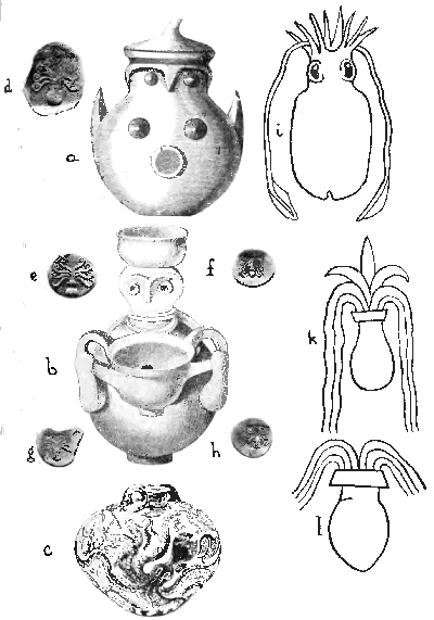 Fig. 24.
(a) and (b) Two Mycenæan pots (after Schliemann).
(a) The so-called "owl-shaped" vase is really a representation of the
Mother-Pot in the form of a conventionalized Octopus (Houssay).
(b) The other vase represents the Octopus Mother-Pot, with a jar upon
her head and another in her hands—a three-fold representation of the
Great Mother as a pot.
(c) A Cretan vase from Gournia in which the Octopus-motive is
represented as a decoration upon the pot instead of in its form.
(d), (e), (f), (g), and (h) A series of coins from Central
Greece (after Head) showing a series of conventionalizations of the
Octopus, with its pot-like body and palm-tree-like arms (f).
(i) Sepia officinalis (after Tryon).
(k) and (l) The so-called "spouting vases" in the hands of the
Babylonian god Ea, from a cylinder seal of the time of Gudea, Patesi of
Tello, after Ward ("Seal Cylinders, etc.," p. 215).
The "spouting vases" have been placed in conjunction with the Sepia to
suggest the possibility of confusion with a conventionalized drawing of
the latter in the blending of the symbolism of the water-jar and
cephalopods in Western Asia and the Mediterranean.