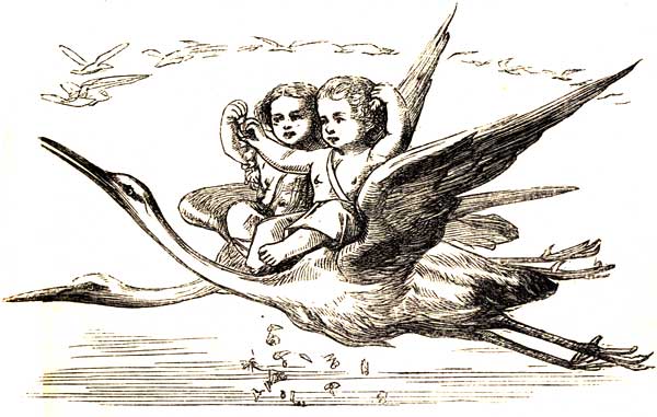 THE STORKS BRINGING BACK THE SPRING.