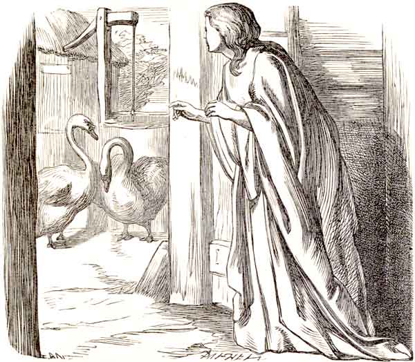 THE DISGUISED PRINCESSES BID FAREWELL TO THE VIKING
WOMAN.