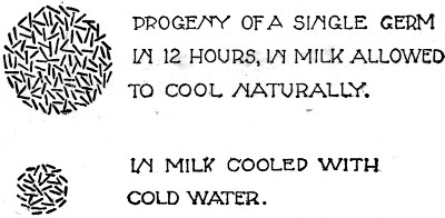 Fig. 14. Effect of cooling milk on the growth of
bacteria.