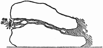 Where a rock would bear too heavily on the one below it,
even with soil between, the pressure may be relieved by the use of small
 stones. The soil run need not be straight, but it must be continuous, so
that the roots of the plant may find their way from A through to B