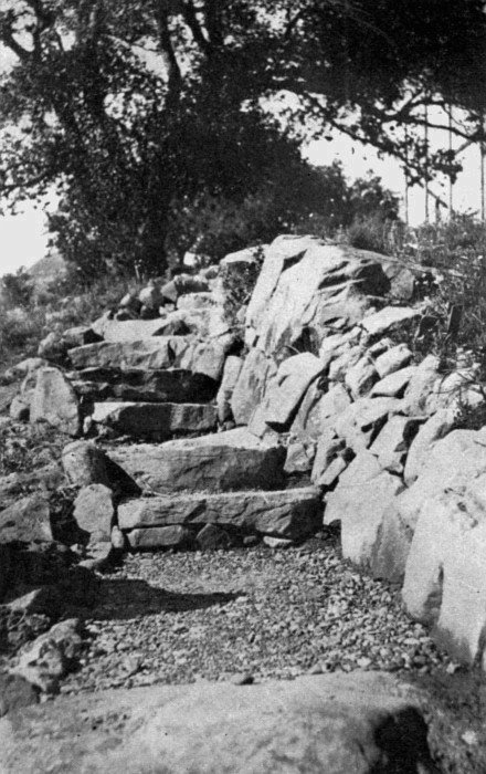 Wherever possible make the entrance to the rock garden a
rough flight of steps. Excavate if necessary. Plant the step crevices as
well as those of the side walls