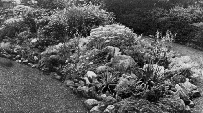 Where only a small effect is desired, a tongue of rock
work like this is an easy solution of the problem. Note the avoidance of
 straight lines