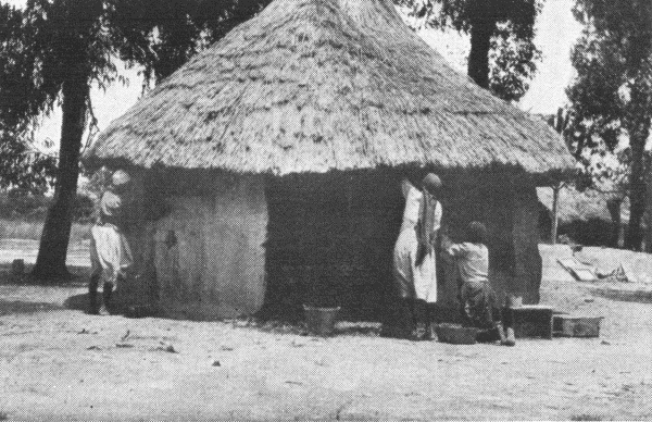 Hut Built by H. Frances Davidson and Alice Heise
at Matopo.