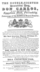 Billing used for Don Carlos, the double-sighted dog. From
the Harry Houdini Collection.