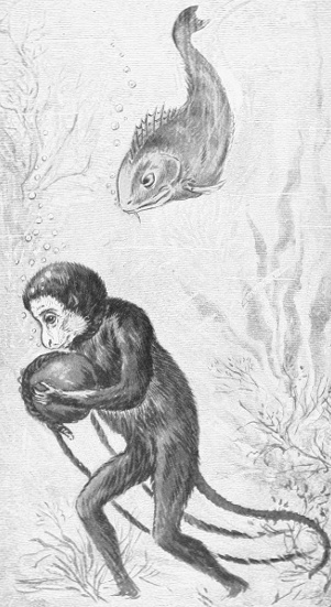 WITH THE STONE IN HIS ARMS HE WALKED CALMLY
TOWARDS THE SHORE