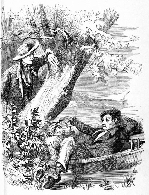 JIM BUZZARD AND THE AGER.

"Them 'ere doctors don't get any of their stuff down my throat. If I can't
stand it as long as the ager, then I'll give in."—Page 186.