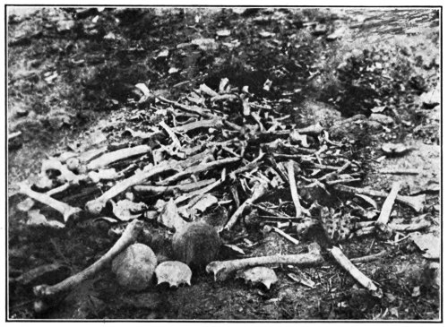 [Image unavailable.]