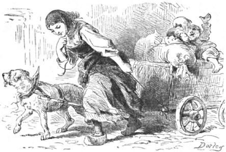 A girl helps her dog to pull the four-wheeled cart