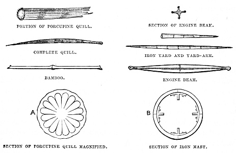 Image unavailable: PORTION OF PORCUPINE QUILL.
COMPLETE QUILL.
BAMBOO.
SECTION OF PORCUPINE QUILL MAGNIFIED.
SECTION OF ENGINE BEAM.
IRON YARD AND YARD-ARM.
ENGINE BEAM.
SECTION OF IRON MAST.