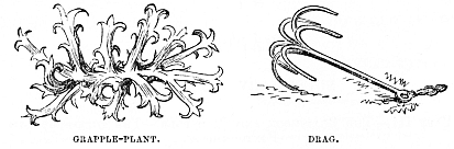 Image unavailable: GRAPPLE-PLANT.
DRAG.