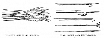 Image unavailable: PUSHING SPIKES OF SERPULA.
BOAT-HOOKS AND PUNT-POLES.