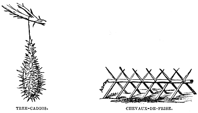 Image unavailable: TREE-CADDIS.
CHEVAUX-DE-FRISE.