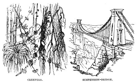 Image unavailable: CREEPERS.
SUSPENSION-BRIDGE.