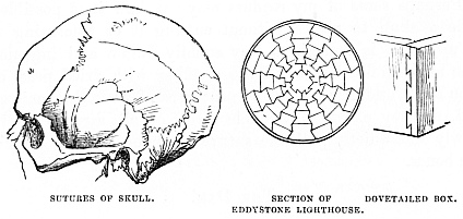 Image unavailable: SUTURES OF SKULL
SECTION OF EDDYSTONE LIGHTHOUSE
DOVETAILED BOX