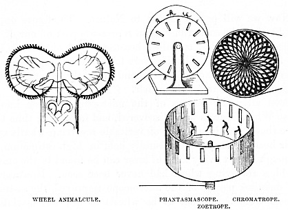 Image unavailable: WHEEL ANIMALCULE.

PHANTASMASCOPE.

CHROMATROPE.

ZOETROPE.