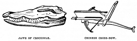 Image unavailable: JAWS OF CROCODILE.
CHINESE CROSS-BOW.