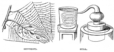 Image unavailable: DEWDROPS.
STILL.